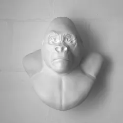 Gorilla Bust