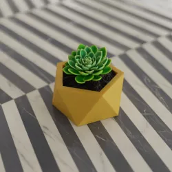 Icosahedron Planter (Három Farkas)
