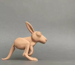 Jumping kangaroo
