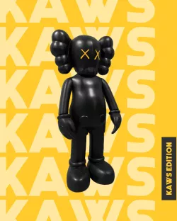 KAWS EDITION - 3D cutaway & complete model