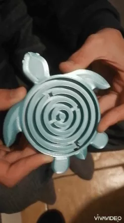 Laby-Tortoise