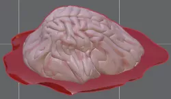 melting brain with blood