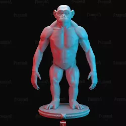 Monkey anatomy
