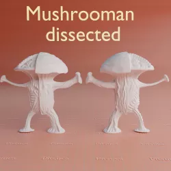 Mushrooman, dissected mushroom creature