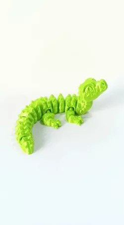Nice Little Alligator