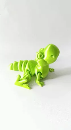 Nice Little Rex