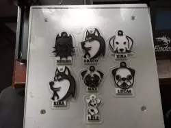 Pet Collars