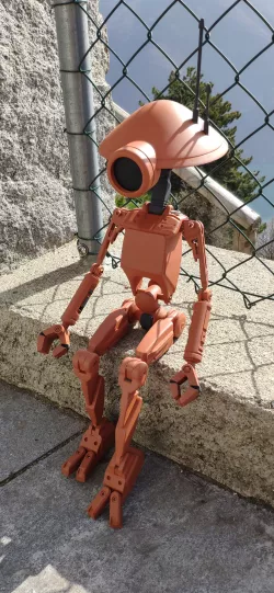 PIT DROID 1:2