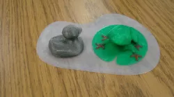 Pond for Ducky Swimming or Treefrog