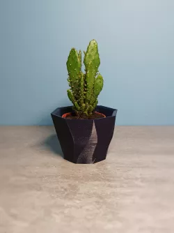 Pot