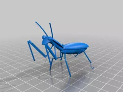 praying mantis
