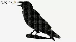 RAVEN / RAVEN / CORBEAU