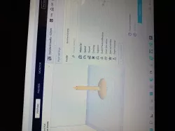 Raw Cone Stuffer