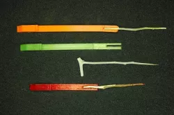 Redneck Toothpick