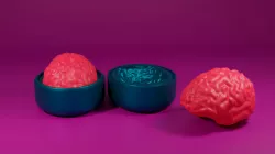 Rice Brain