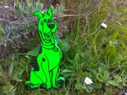 SCOOBY