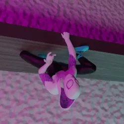 Spidergwen Shelf