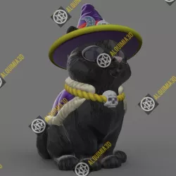The witch cat