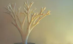 Tree kit