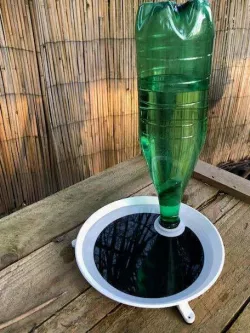 Water dispenser and bath for birds