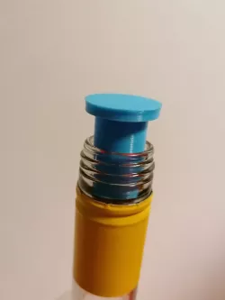 Wine plug