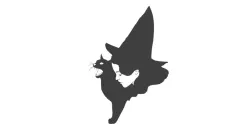 witch with cat