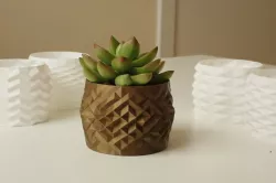 6 PLANTER / BOX PACK