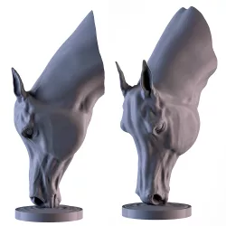 Arabian Horse Head