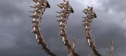 Armageddon Dragon Tail 2 versions