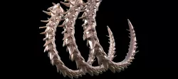 Armageddon Dragon Tail