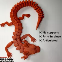 ARTICULATED DRAGON AXOLOTL - PRINT IN PLACE - NO SUPPORTS