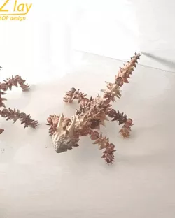 Articulated Moloch horridus, Thorny Devil, spiked lizard