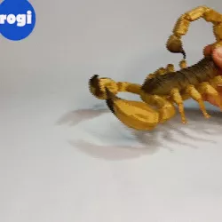 ARTICULATED SCORPION