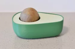 Avocado seed sprouter