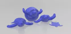 Baby Turtles