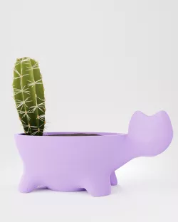 Cat pot