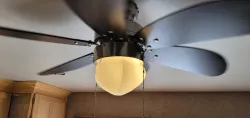 Ceiling Light Globe/Cover