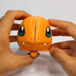 CHARMANDER-CHARMELEON (FACE CHANGE)