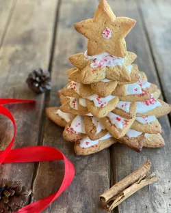 CHRISTMAS COOKIE CUTTERS: CHRISTMAS COOKIE PINE TREE