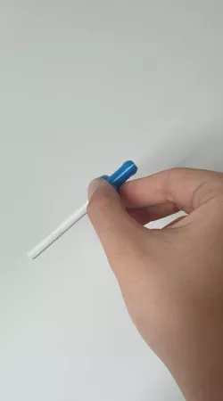 cigarette holder dick/ porte cigarette bite