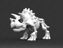 Cute Triceratops Skeleton