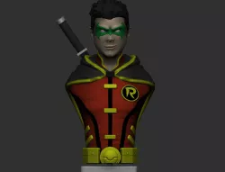 Damian Wayne Robin