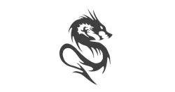 DRAGON 2D
