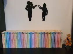 Dragon Ball Z Wall Art