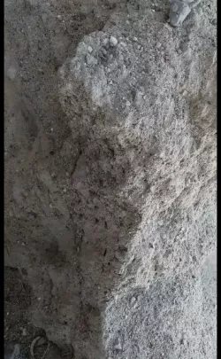 Dragon Flexible Rock