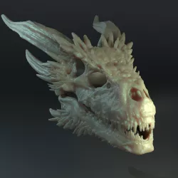 DROGON: DRAGON SKULL TROPHY