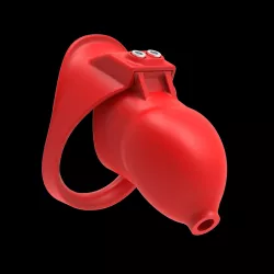 EasyCB V4 - Customizable Chastity Cage