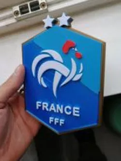 FFF logo
