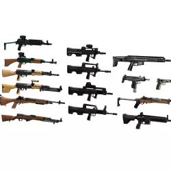 Firearms Reference Collection