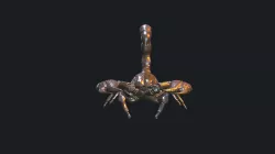Forest Scorpion